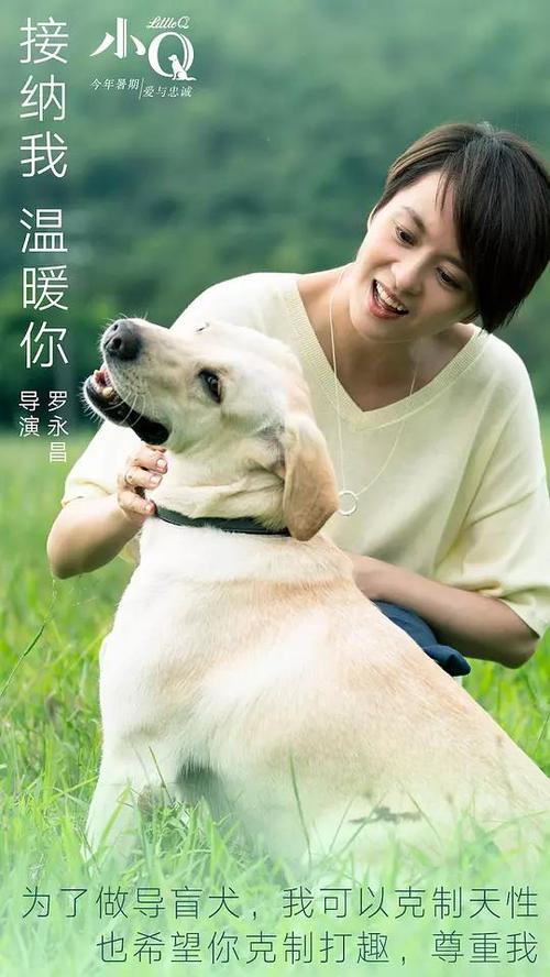 哪里能买到安大略省驾照